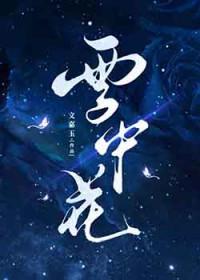 雪中花歌曲中文版
