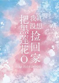 我真没想把黑莲花O捡回家 鸽子不会咕咕咕