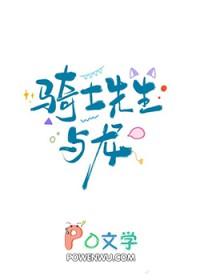 骑士先生是什么意思
