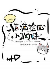 捡回一只猫