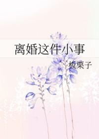 离婚这件小事全文阅读