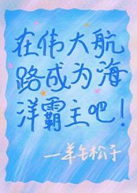 综我在伟大航路当英雄