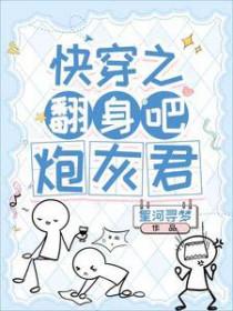 炮灰君完整版本免费阅读