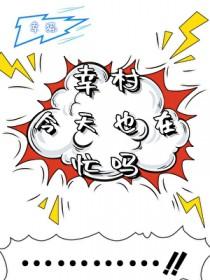 综cp幸村
