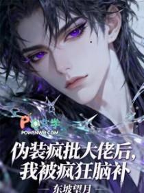 伪装大佬txt