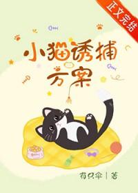 小猫诱捕方案by
