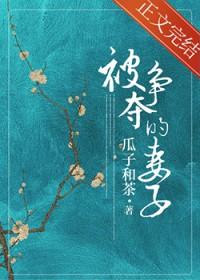 被争夺的妻子瓜子和茶百度
