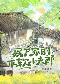 屠户家的乖软小夫郎方夏