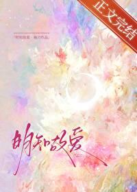 重度爱好者什么意思