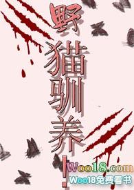 野猫驯养也