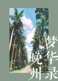 晚州梦华录 免费阅读