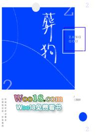 葬狗狗用纸箱还是泡沫箱好