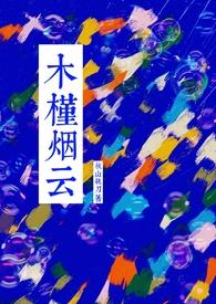 木槿烟云by徐槿礼讲的什么