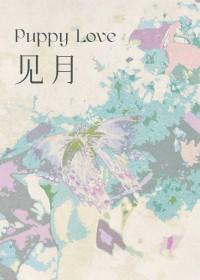 见月